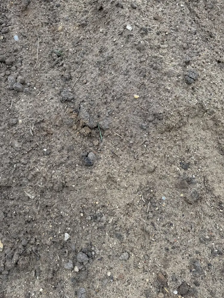Topsoil product sample